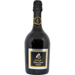 Vive 4+ gran cuvee millesimato extra dry cl.75