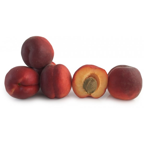 Albicocche rubissia kg.1