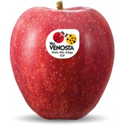 Mele red delicious kg.1