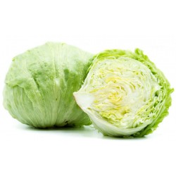 Insalata iceberg gr.500