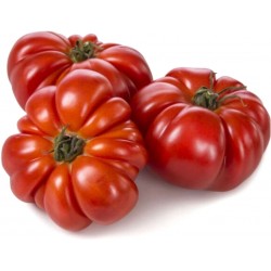 Pomodoro costoluto cat.II kg.1