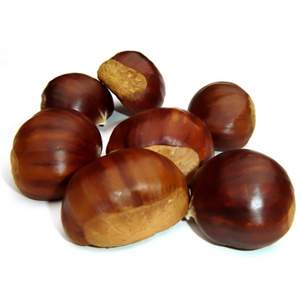 Castagne cal. 50/55 kg. 1