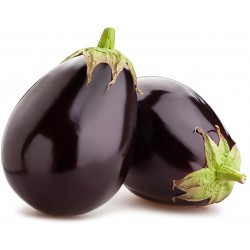 Melanzane tonde kg.1