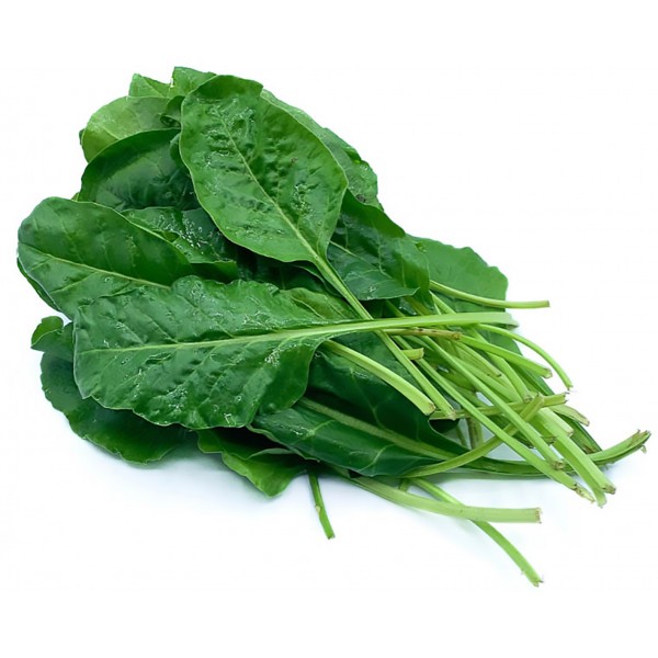 Erbette kg.1 Erbette kg.1