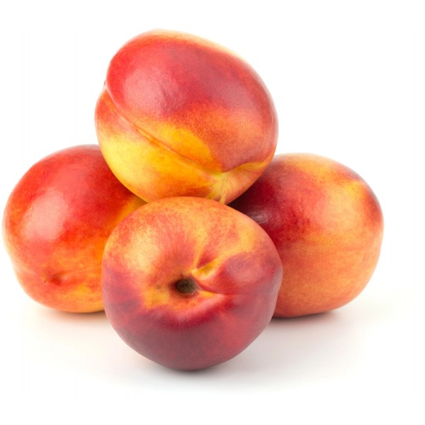pesche nocine gialle cal.16 kg.1