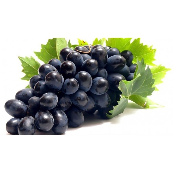 Uva nera senza semi kg.1 Uva nera senza semi kg.1