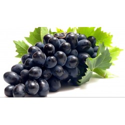 Uva nera senza semi kg.1