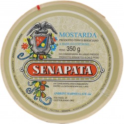 Andrini mostarda base cognogne senapata gr.350