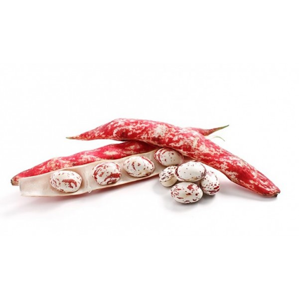 Fagioli borlotti freschi kg.1 cat II
