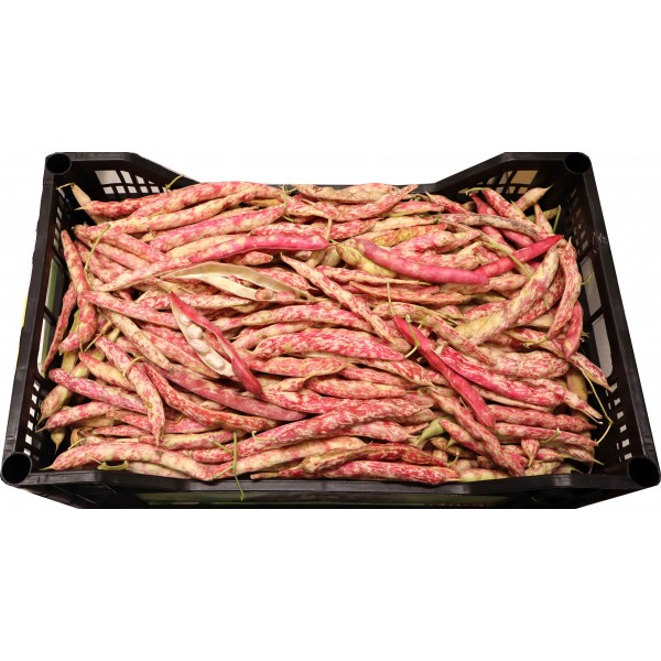 Fagioli borlotti cassetta kg.7
