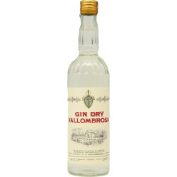 Gin dry vallombrosa cl.70 47°
