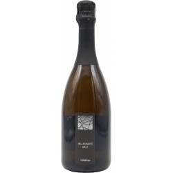 Terravizina spumante millesimato brut venetiae cl.75