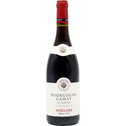 Moillard gamay bourgogne cl.75 13°