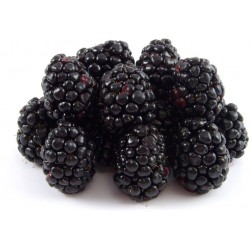 More in vaschetta gr.125