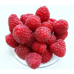 Lamponi in vaschetta gr.125