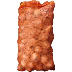 Cipolle dorate sacco kg.10